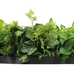Fern & Ivy Slimline UV Resistant Artificial Wall Disc Black 900mm 23 Fern & Ivy Slimline UV Resistant Artificial Wall Disc Black 900mm -Plant Care Shop 7029978 10 6