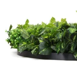 Fern & Ivy Slimline UV Resistant Artificial Wall Disc Black 900mm 17 Fern & Ivy Slimline UV Resistant Artificial Wall Disc Black 900mm -Plant Care Shop 7029978 4 7