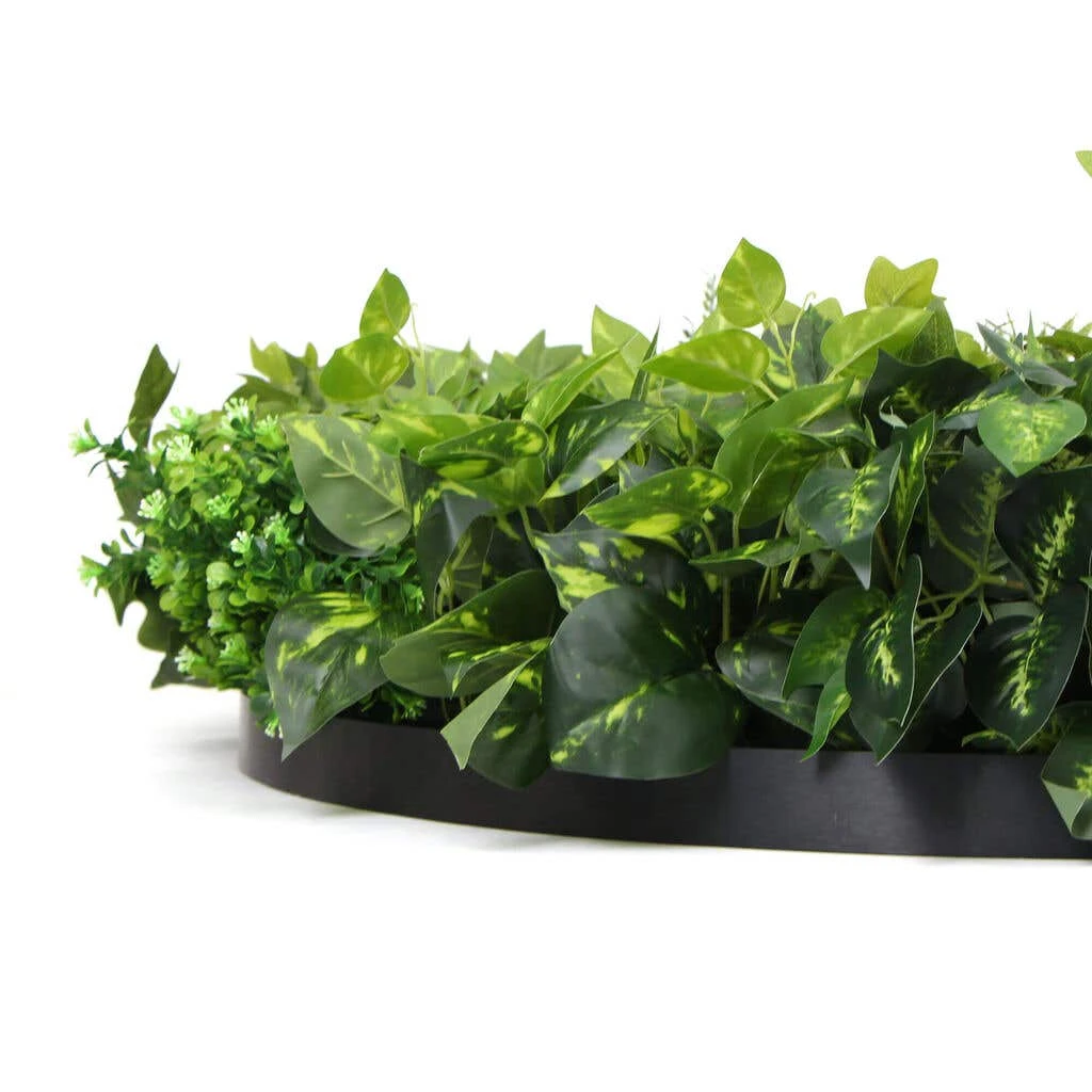 Fern & Ivy Slimline UV Resistant Artificial Wall Disc Black 900mm 7 Fern & Ivy Slimline UV Resistant Artificial Wall Disc Black 900mm - Image 5