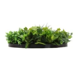 Fern & Ivy Slimline UV Resistant Artificial Wall Disc Black 800mm -Plant Care Shop 7029994 4 5