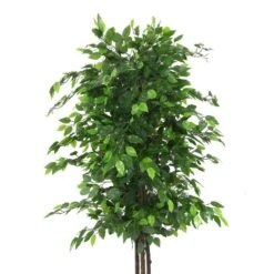 Artificial Ficus Tree 1.8m 15 Artificial Ficus Tree 1.8m -Plant Care Shop 7030000 2 5
