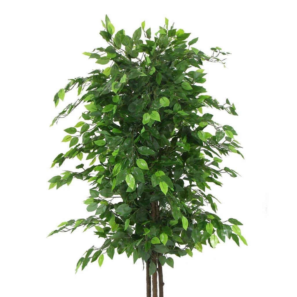 Artificial Ficus Tree 1.8m 5 Artificial Ficus Tree 1.8m - Image 3