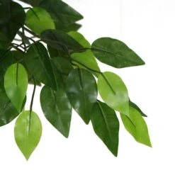 Artificial Ficus Tree 1.8m 22 Artificial Ficus Tree 1.8m -Plant Care Shop 7030000 9 5