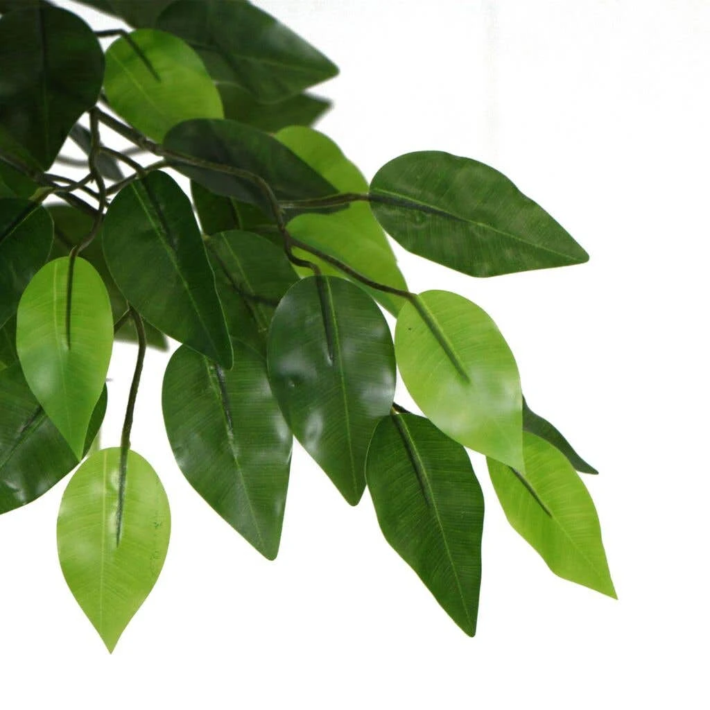 Artificial Ficus Tree 1.8m 12 Artificial Ficus Tree 1.8m - Image 10