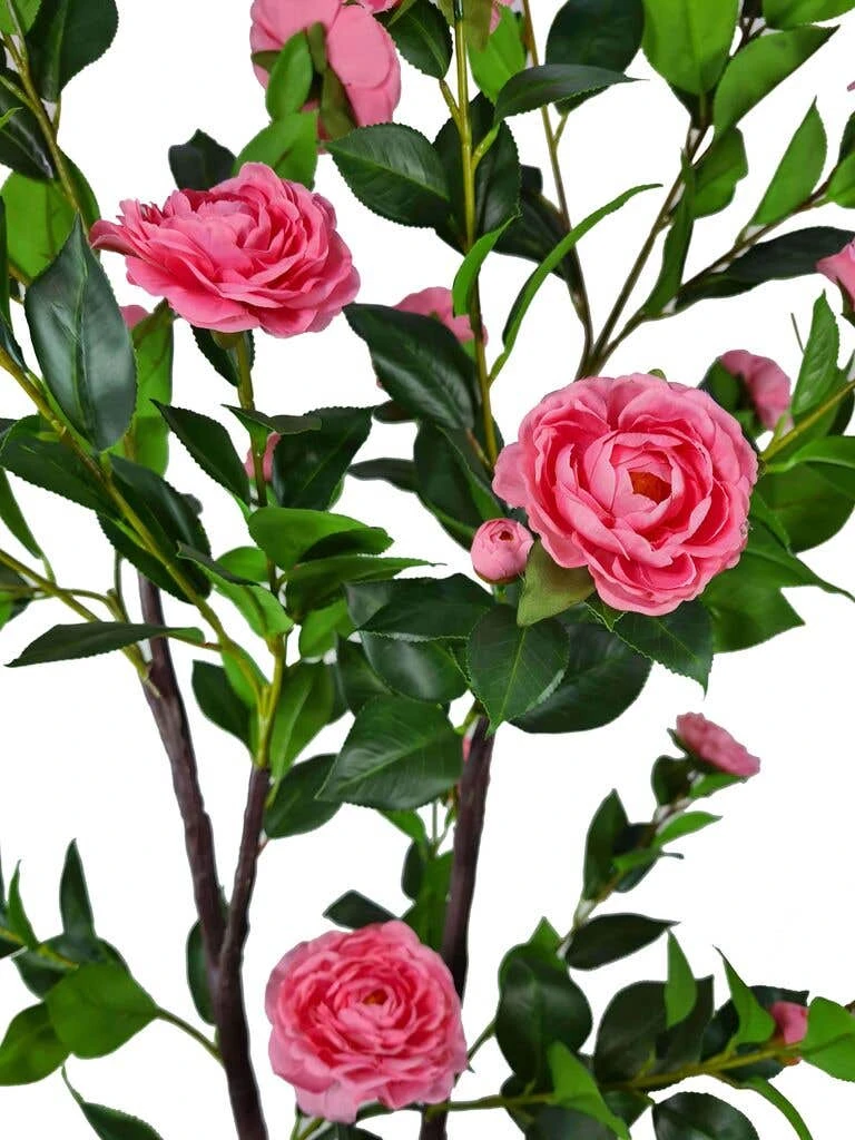 Pink Flowering Artificial Camellia Tree 1.8m 4 Pink Flowering Artificial Camellia Tree 1.8m - Image 2