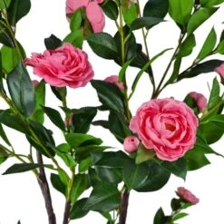 Pink Flowering Artificial Camellia Tree 1.8m 8 Pink Flowering Artificial Camellia Tree 1.8m -Plant Care Shop 7030026 2 5