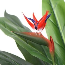 Artificial Bird Of Paradise Plant Red Flowers 1.5m 18 Artificial Bird Of Paradise Plant Red Flowers 1.5m -Plant Care Shop 7030042 7 2
