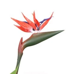 Artificial Bird Of Paradise Red 1.5m -Plant Care Shop 7030075 4 5