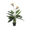 Artificial Bird Of Paradise Plant 110cm 2 Artificial Bird Of Paradise Plant 110cm -Plant Care Shop 7030083 0 5