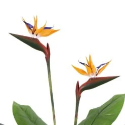 Artificial Bird Of Paradise Plant 110cm -Plant Care Shop 7030083 2 5