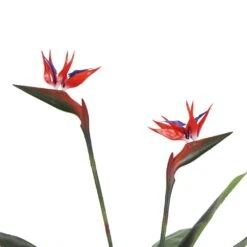Artificial Bird Of Paradise Plant Red Flowers 1.1m 17 Artificial Bird Of Paradise Plant Red Flowers 1.1m -Plant Care Shop 7030091 3 2