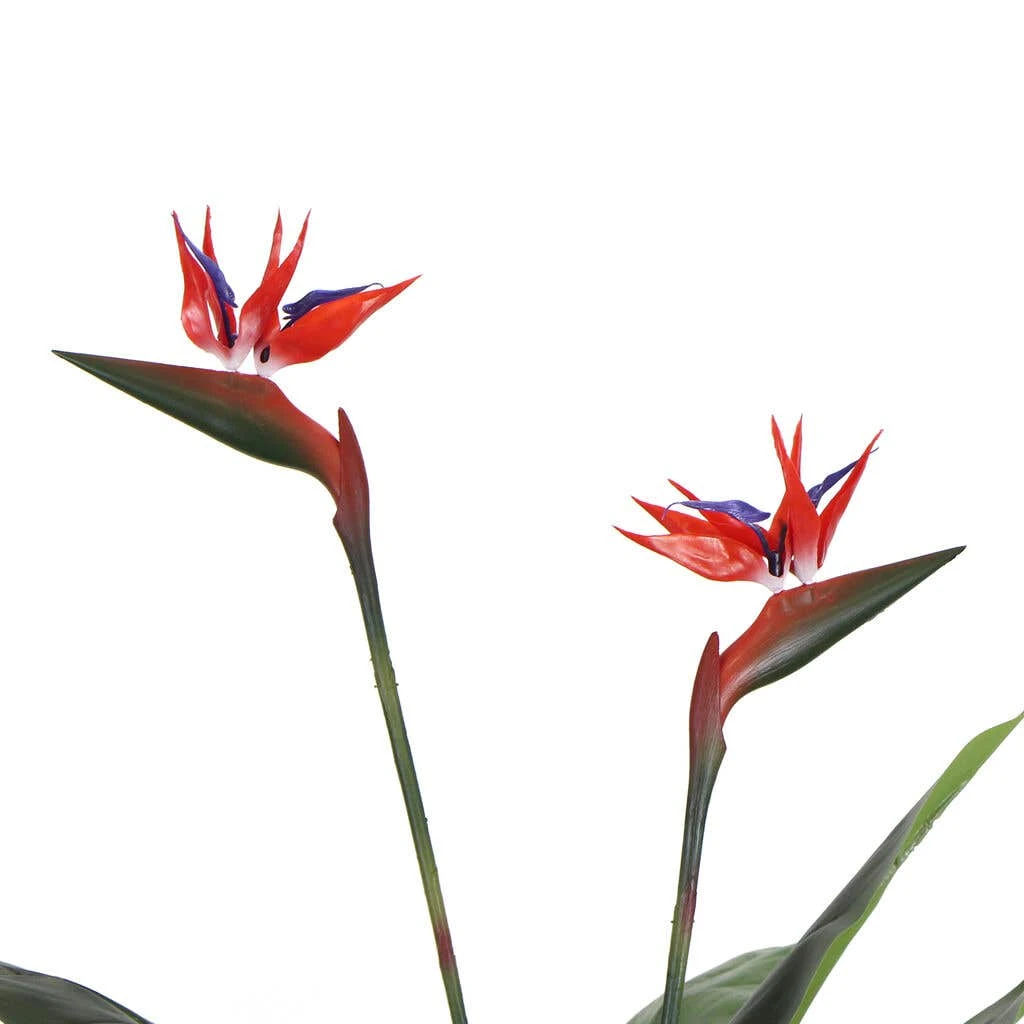 Artificial Bird Of Paradise Plant Red Flowers 1.1m 6 Artificial Bird Of Paradise Plant Red Flowers 1.1m - Image 4