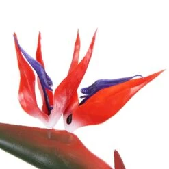 Artificial Bird Of Paradise Plant Red Flowers 1.1m 18 Artificial Bird Of Paradise Plant Red Flowers 1.1m -Plant Care Shop 7030091 4 2