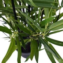 Artificial Bamboo Plant Black 1.6m -Plant Care Shop 7030182 2 2