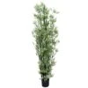 Artificial Japanese Bamboo Black Trunk UV Resistant 1.8m -Plant Care Shop 7030216 0 6
