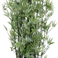 Artificial Japanese Bamboo Black Trunk UV Resistant 1.8m -Plant Care Shop 7030216 3 6