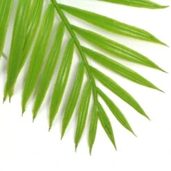Hanging Fresh Green Bamboo Leaf Fern UV Resistant 800mm -Plant Care Shop 7030224 8 1