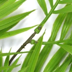 Hanging Fresh Green Bamboo Leaf Fern UV Resistant 800mm -Plant Care Shop 7030224 9 1