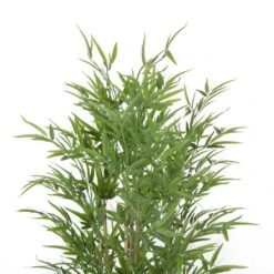 Artificial Bamboo Natural Trunk Real Touch Leaves 1.8m -Plant Care Shop 7030240 2 2