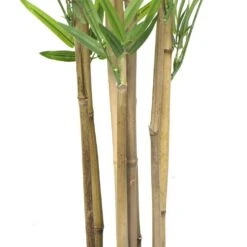 Artificial Bamboo Natural Trunk Real Touch Leaves 1.8m -Plant Care Shop 7030240 8 2