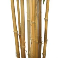 Premium Artificial Bamboo Natural Colour Cane 2.1m -Plant Care Shop 7030281 4 3