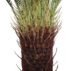 Artificial Cycad Palm Tree 1050mm 12 Artificial Cycad Palm Tree 1050mm -Plant Care Shop 7030356 3 6
