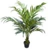 Artificial Kentia Palm Tree 1.5m -Plant Care Shop 7030364 0 5