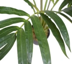 Artificial Kentia Palm Tree 1.5m -Plant Care Shop 7030364 3 5