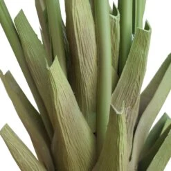 Artificial Multi-Stem Hawaii Palm 1.9m -Plant Care Shop 7030380 2 5