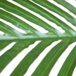 Artificial Multi-Stem Hawaii Palm 1.9m -Plant Care Shop 7030380 3 5