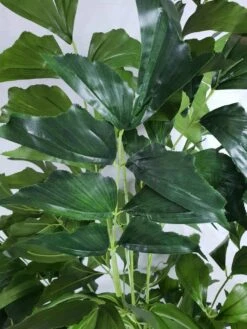 Artificial Fishtail Palm Tree 1.6m -Plant Care Shop 7030430 2 5