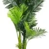 Artificial Multi-Trunk Hawaii Palm 1.8m -Plant Care Shop 7030455 0 5