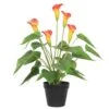 Artificial Flowering White & Orange Calla Lily Plant 50cm