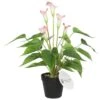 White & Pink Calla Lily Artificial Plant 500mm -Plant Care Shop 7030505 0 5