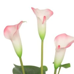 White & Pink Calla Lily Artificial Plant 500mm -Plant Care Shop 7030505 1 5