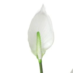 White Peace Lily Artificial Plant 950mm -Plant Care Shop 7030513 2 5