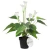 White Calla Lily Artificial Plant 500mm