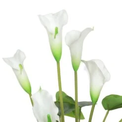 White Calla Lily Artificial Plant 500mm -Plant Care Shop 7030521 2 6