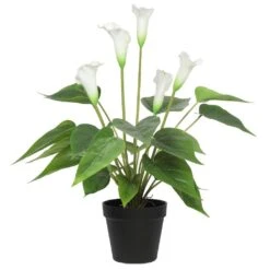 White Calla Lily Artificial Plant 500mm -Plant Care Shop 7030521 3 6