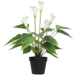 White Calla Lily Artificial Plant 500mm -Plant Care Shop 7030521 4 6