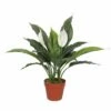 Artificial Spathiphyllum Peace Lily Plant With White Flowers 600mm 1 Artificial Spathiphyllum Peace Lily Plant With White Flowers 600mm -Plant Care Shop 7030539 0 3