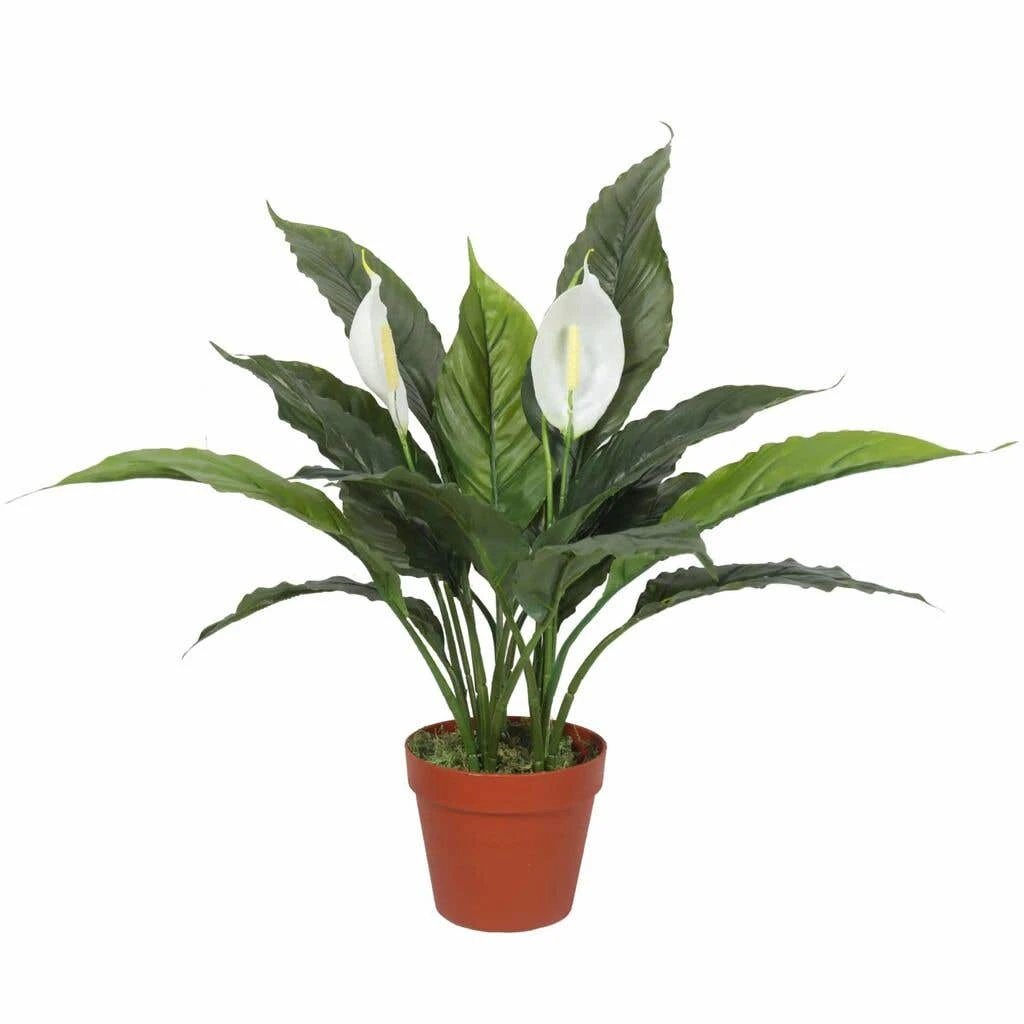 Artificial Spathiphyllum Peace Lily Plant With White Flowers 600mm 3 Artificial Spathiphyllum Peace Lily Plant With White Flowers 600mm