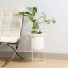 Pot With Stand Siene 42cm White 1 Pot With Stand Siene 42cm White -Plant Care Shop 7093073 0 3