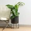 Pot With Stand Siene 42cm Black 1 Pot With Stand Siene 42cm Black -Plant Care Shop 7093081 0 4
