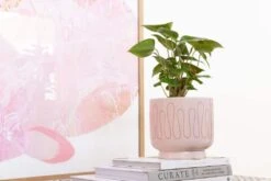 Northcote Pottery Clara Pot Blush 170 X 160mm