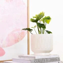 Northcote Pottery Clara Pot String 170 X 160mm