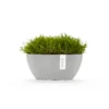 Ecopot Sofia Self-Watering Plant Pot 300mm