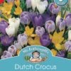Mr Fothergill's Bulbs Dutch Crocus Mixed 3 Bulbs