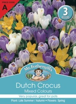 Mr Fothergill's Bulbs Dutch Crocus Mixed 3 Bulbs