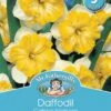 Mr Fothergill's Bulbs Daffodil Gabriel Kleisberg 3 Bulbs -Plant Care Shop md03660